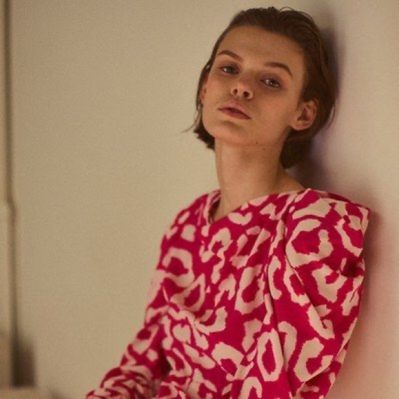 Isabel Marant pink & white leopard animal print Carley dress - Medium (FR 44) - Picture 4 of 12